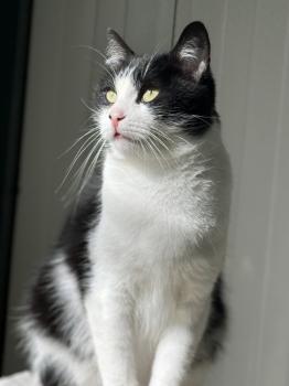 Conny Bild von Conny