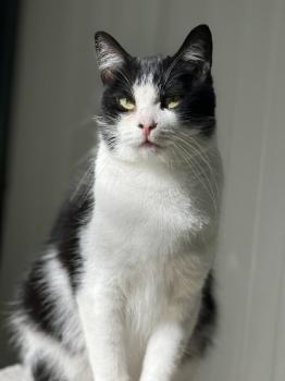 Conny Bild von Conny