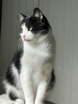 Conny Bild von Conny