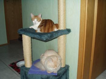 Nino Bild von Nino