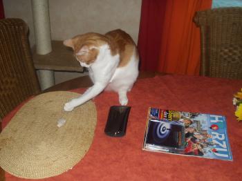 Nino Bild von Nino
