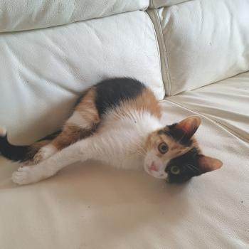 Mila Bild von Mila
