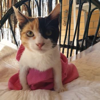 Mila Bild von Mila