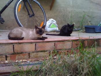 Ohne Bild von Bilbo