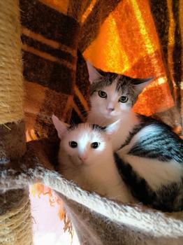 Mascha Bild von Mascha