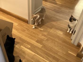 Gus Bild von Gus