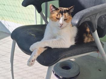 Bild von Rosalba