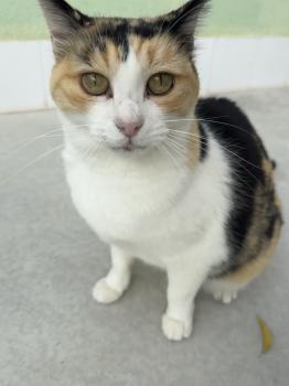 Bild von Rosalba