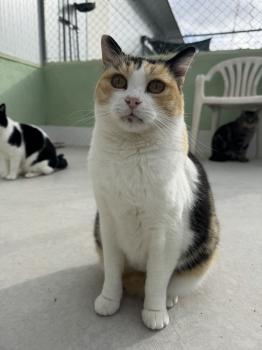 Bild von Rosalba