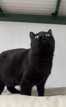 Nahla Bild von Nahla