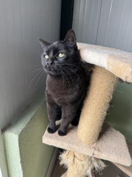 Nahla Bild von Nahla