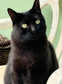 Nahla Bild von Nahla