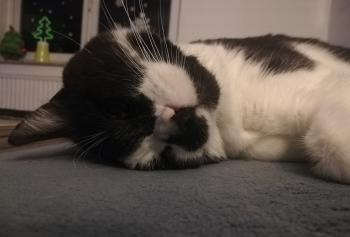 Bild von Naana