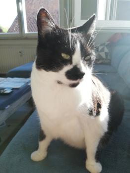 Bild von Naana
