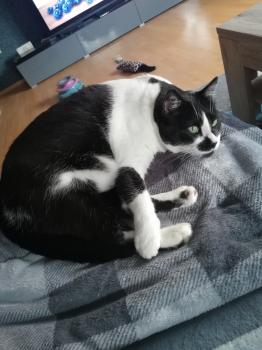 Bild von Naana