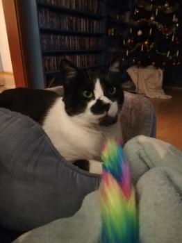 Bild von Naana