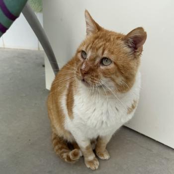 Tommy Bild von Tommy