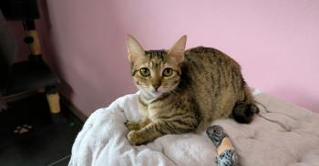Minnie Bild von Minnie