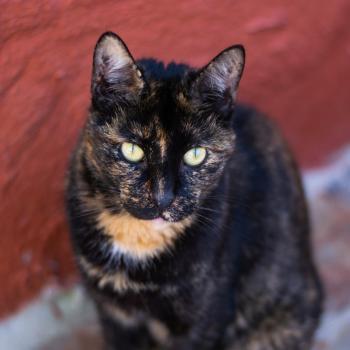 Cleo Bild von Cleo