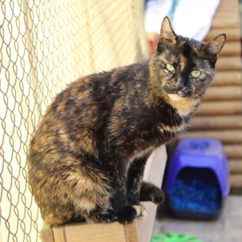Cleo Bild von Cleo
