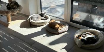 Bild von Rufo