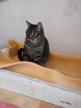 Ray Bild von Ray