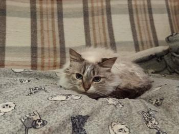 Jane Bild von Jane