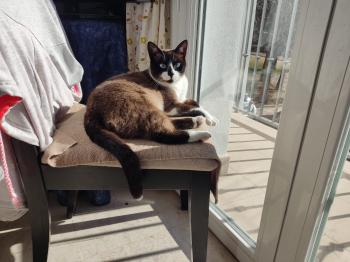 Moka Bild von Moka
