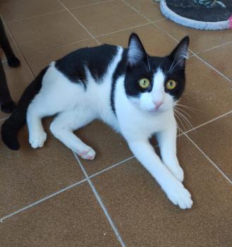 Tico Bild von Tico