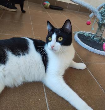 Tico Bild von Tico