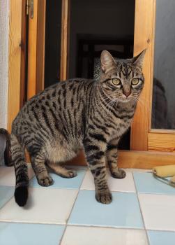 Ray Bild von Ray
