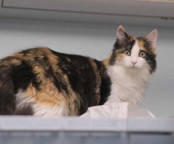 Nina Bild von Nina