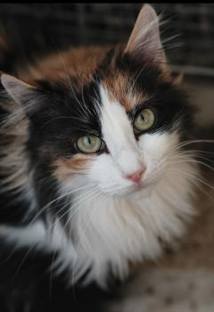 Nina Bild von Nina