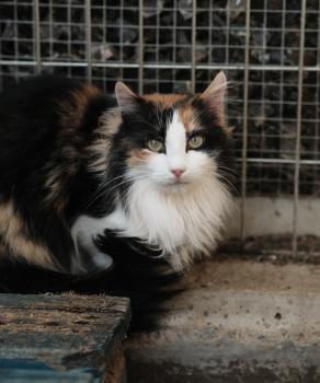 Nina Bild von Nina