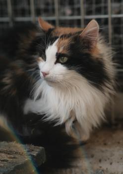 Nina Bild von Nina