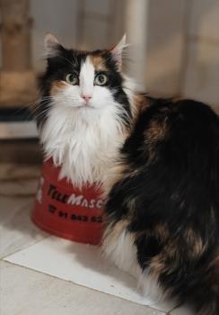 Nina Bild von Nina