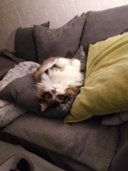 Aslaug Bild von Aslaug