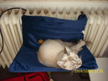 Sammy Bild von Sammy