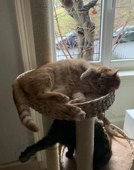 Tommy Bild von Tommy