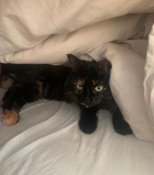 Matilda Bild von Matilda