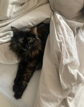 Matilda Bild von Matilda