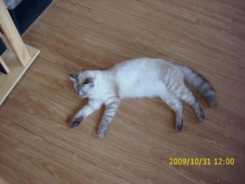 Sammy Bild von Sammy