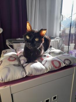 Bella Bild von Bella