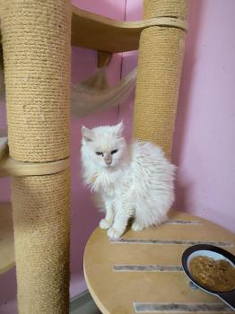 Jazmin Bild von Jazmin