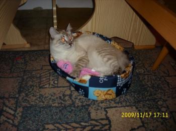Sammy Bild von Sammy