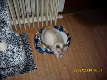 Sammy Bild von Sammy