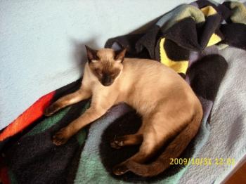 Bibi Bild von Biberoni