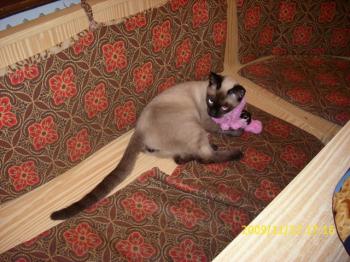 Bibi Bild von Biberoni