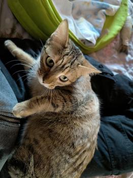 Minnie Bild von Minnie
