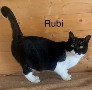 Rubi Bild von Rubi